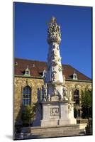 Holy Trinity Statue, Budapest, Hungary, Europe-Neil Farrin-Mounted Photographic Print