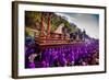 Holy Week Carpetas Parade, Antigua, Guatemala, Central America-Laura Grier-Framed Photographic Print