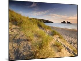 Holywell Bay with Carters Gull Rocks in the Background, Near Newquay, Cornwall, UK, June 2008-Ross Hoddinott-Mounted Photographic Print