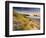 Holywell Bay with Carters Gull Rocks in the Background, Near Newquay, Cornwall, UK, June 2008-Ross Hoddinott-Framed Photographic Print