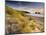 Holywell Bay with Carters Gull Rocks in the Background, Near Newquay, Cornwall, UK, June 2008-Ross Hoddinott-Mounted Photographic Print