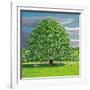 Homage to Horse Chestnut Tree, 2012-Liz Wright-Framed Giclee Print