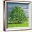 Homage to Horse Chestnut Tree, 2012-Liz Wright-Framed Giclee Print