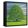 Homage to Horse Chestnut Tree, 2012-Liz Wright-Framed Stretched Canvas