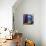 Homage to Matisse 1-John Nolan-Mounted Giclee Print displayed on a wall