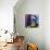 Homage to Matisse 1-John Nolan-Mounted Giclee Print displayed on a wall