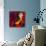 Homage to Picasso 2-John Nolan-Giclee Print displayed on a wall