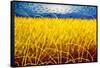 Homage to Van Gogh 1-John Nolan-Framed Stretched Canvas