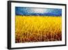 Homage to Van Gogh 1-John Nolan-Framed Giclee Print