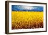 Homage to Van Gogh 1-John Nolan-Framed Premium Giclee Print