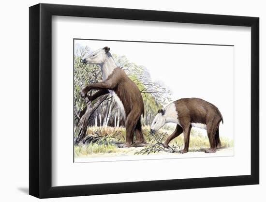 Homalodotherium-null-Framed Photographic Print