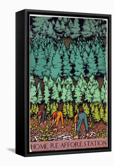Home Afforestation-Keith Henderson-Framed Stretched Canvas
