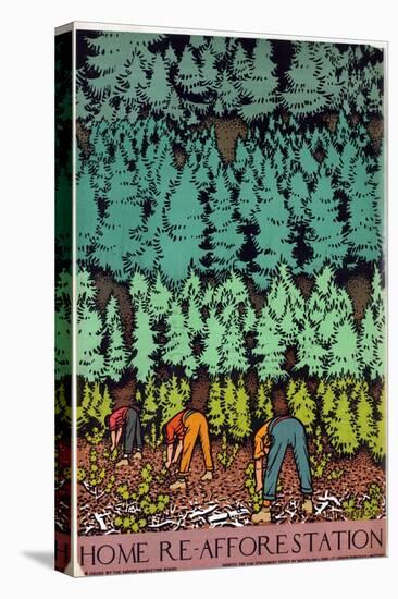 Home Afforestation-Keith Henderson-Stretched Canvas