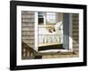 Home Again-Zhen-Huan Lu-Framed Art Print