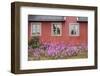 Home Buildings. Sisimiut. Greenland-Tom Norring-Framed Photographic Print