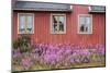 Home Buildings. Sisimiut. Greenland-Tom Norring-Mounted Photographic Print