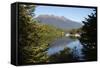 Home Creek on Lake Manapouri, Manapouri, Southland, South Island, New Zealand, Pacific-Stuart Black-Framed Stretched Canvas