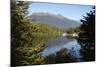 Home Creek on Lake Manapouri, Manapouri, Southland, South Island, New Zealand, Pacific-Stuart Black-Mounted Photographic Print