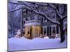 Home Decorated For Christmas, Reading, Massachusetts, USA-Lisa S. Engelbrecht-Mounted Photographic Print