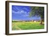 Home Field, 2004-Anthony Rule-Framed Giclee Print