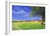 Home Field, 2004-Anthony Rule-Framed Giclee Print