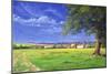 Home Field, 2004-Anthony Rule-Mounted Giclee Print