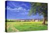 Home Field, 2004-Anthony Rule-Stretched Canvas