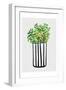 Home Foliage 3-Boho Hue Studio-Framed Art Print