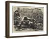 Home for Destitute Dogs-null-Framed Giclee Print