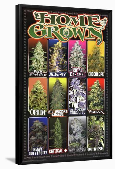 Home Grown - Pot Marijuana Strains-null-Framed Poster