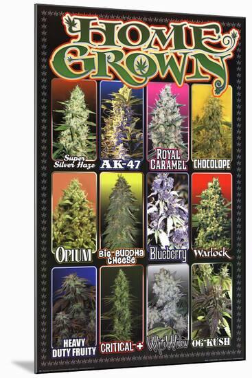 Home Grown - Pot Marijuana Strains-null-Mounted Poster