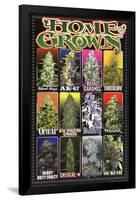 Home Grown - Pot Marijuana Strains-null-Framed Poster