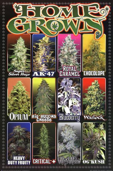 Poster, , large