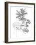 Home Haven - Rest-Lucy Francis-Framed Giclee Print