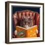 Home Improvement-Lucia Heffernan-Framed Art Print