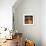 Home Improvement-Lucia Heffernan-Framed Art Print displayed on a wall