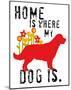 Home Is Where My Dog Is-Ginger Oliphant-Mounted Art Print