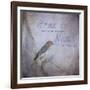 Home Is Wherever You Make Your Nest-Jai Johnson-Framed Giclee Print