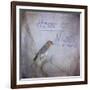 Home Is Wherever You Make Your Nest-Jai Johnson-Framed Giclee Print