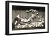 Home-Made Float-null-Framed Premium Giclee Print