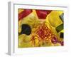 Home-made Noodles in Various Colours and Shapes-Ulrike Koeb-Framed Photographic Print