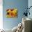 Home-made Noodles in Various Colours and Shapes-Ulrike Koeb-Photographic Print displayed on a wall
