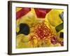 Home-made Noodles in Various Colours and Shapes-Ulrike Koeb-Framed Photographic Print