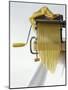 Home-Made Tagliatelle with Pasta Maker-Kai Stiepel-Mounted Photographic Print