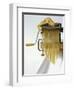 Home-Made Tagliatelle with Pasta Maker-Kai Stiepel-Framed Photographic Print