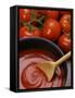 Home-Made Tomato Sauce in Pan and Fresh Tomatoes-Gustavo Andrade-Framed Stretched Canvas