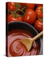 Home-Made Tomato Sauce in Pan and Fresh Tomatoes-Gustavo Andrade-Stretched Canvas