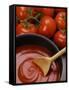 Home-Made Tomato Sauce in Pan and Fresh Tomatoes-Gustavo Andrade-Framed Stretched Canvas