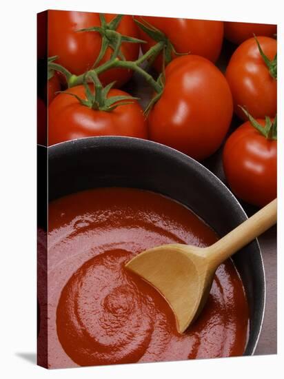 Home-Made Tomato Sauce in Pan and Fresh Tomatoes-Gustavo Andrade-Stretched Canvas