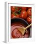 Home-Made Tomato Sauce in Pan and Fresh Tomatoes-Gustavo Andrade-Framed Photographic Print